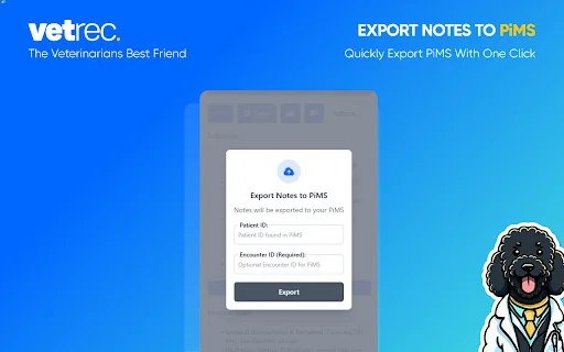 VetRec: Automatize Notas Clínicas Veterinárias – Extensão Chrome - Screenshot 5