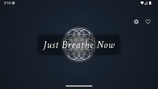 Just Breathe Now: Melhore Sua Saúde com Exercícios de Respiração - Screenshot 13