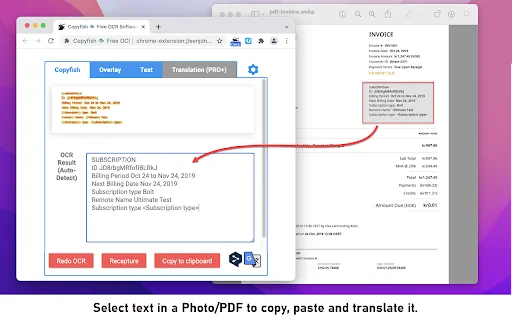 Copyfish: Leitor de OCR Grátis para Extrair Texto de Imagens - Screenshot 3