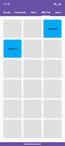 Baixe o Parrot Sounds Agora – Melodias Vibrantes de Papagaios - Screenshot 5